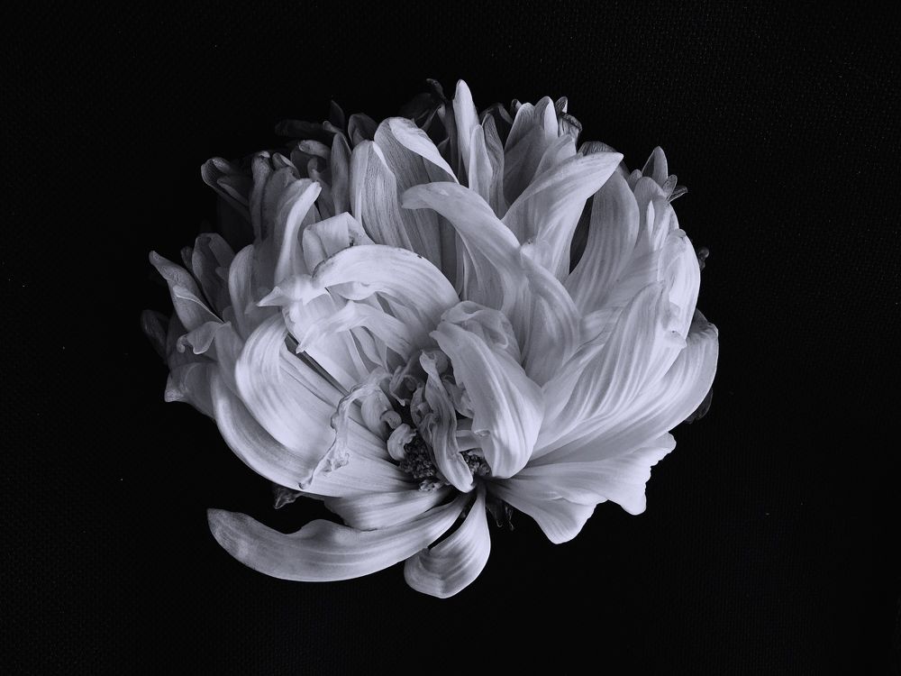 Photograph by Станислав Ситников