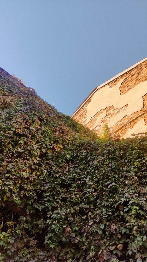 Photograph by Елена Рогова