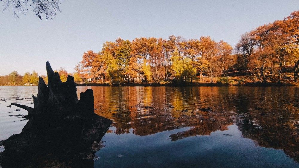 Photograph by Елена Рогова