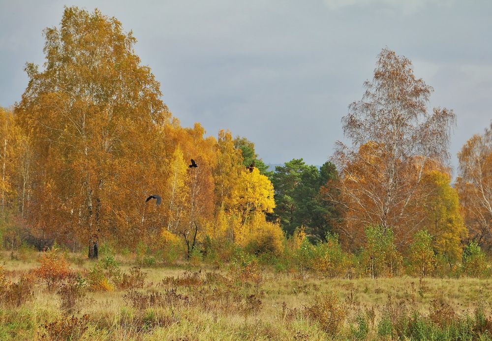 Photograph by Анатолий Васильев