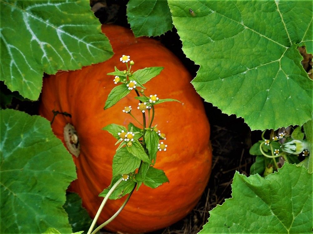 Photograph by TERESA Yurkevich