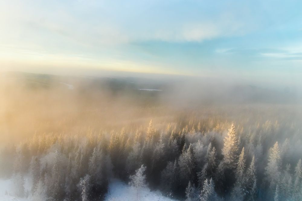 Photograph by Николай Диордиев