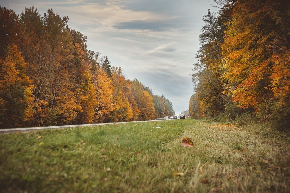 Photograph by Алена