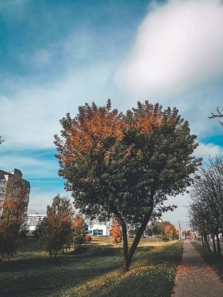 Красота в простом