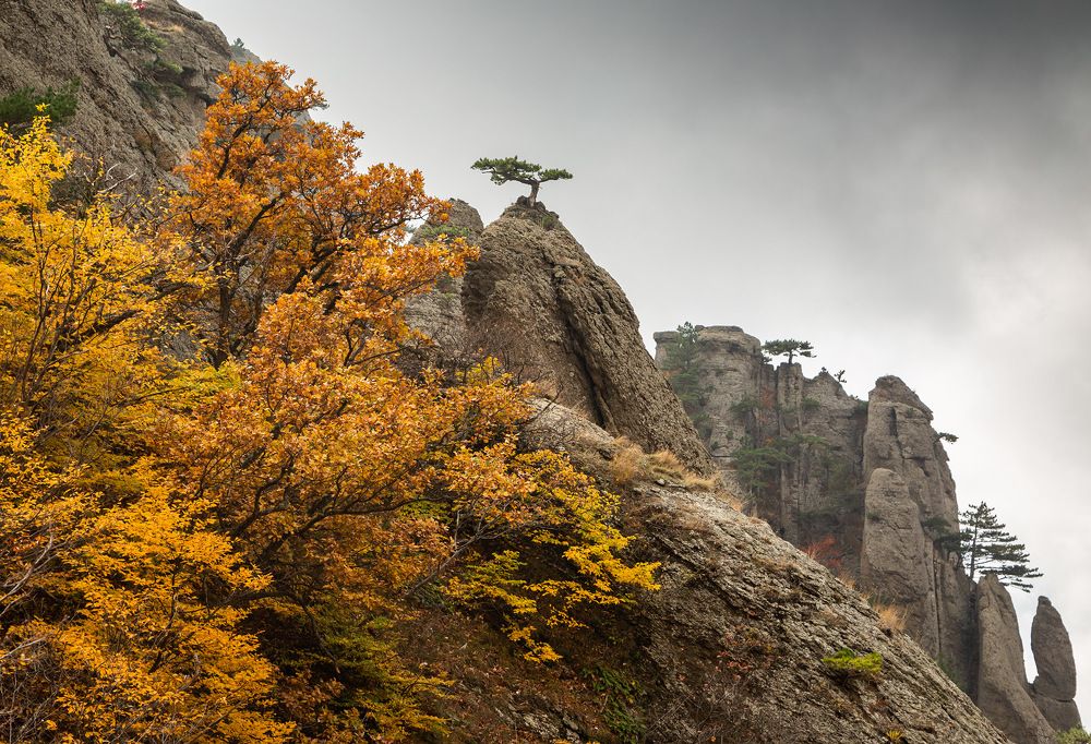 Photograph by Елена Покрепа