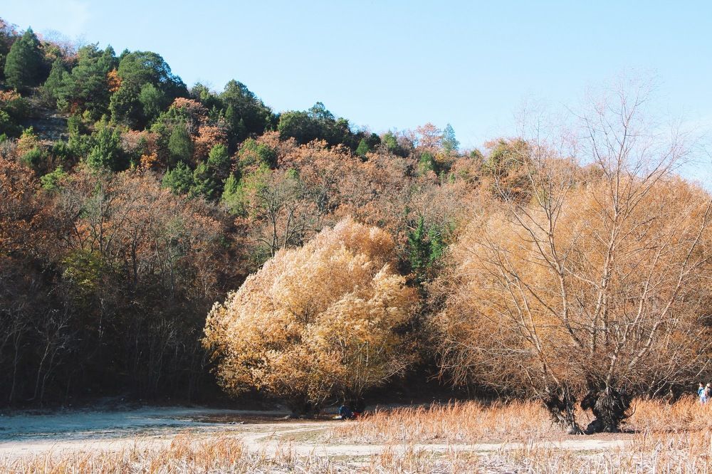 Фотография автора Oxana Yurasova