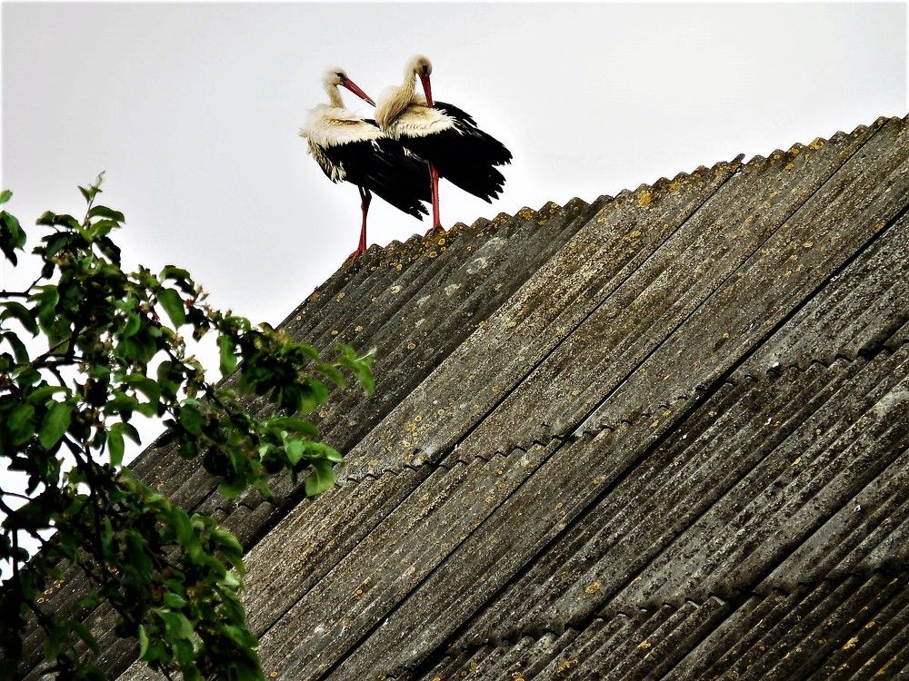 Photograph by TERESA Yurkevich