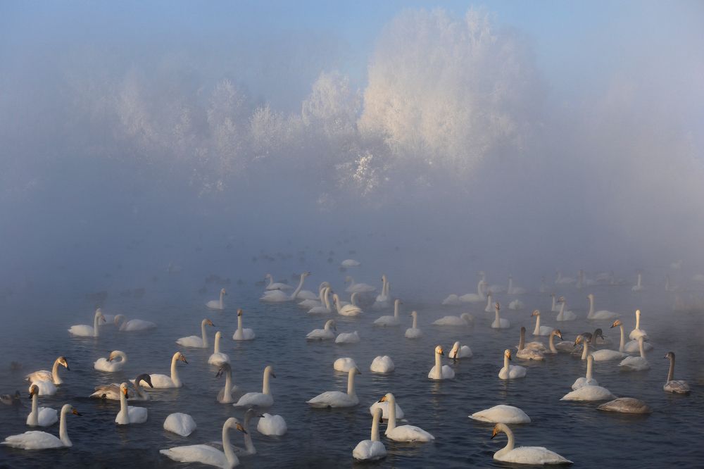 Photograph by Галина Хвостенко