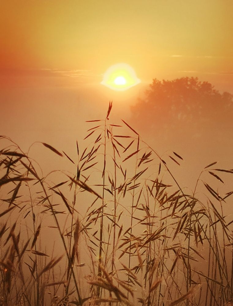 Photograph by Yury Khortau