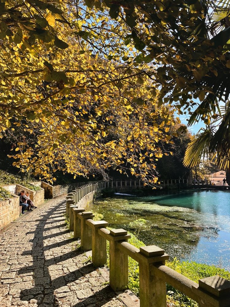 Фотография автора Oxana Yurasova