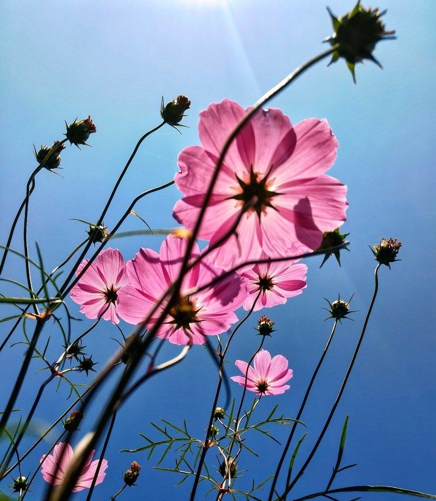 Photograph by Ольга