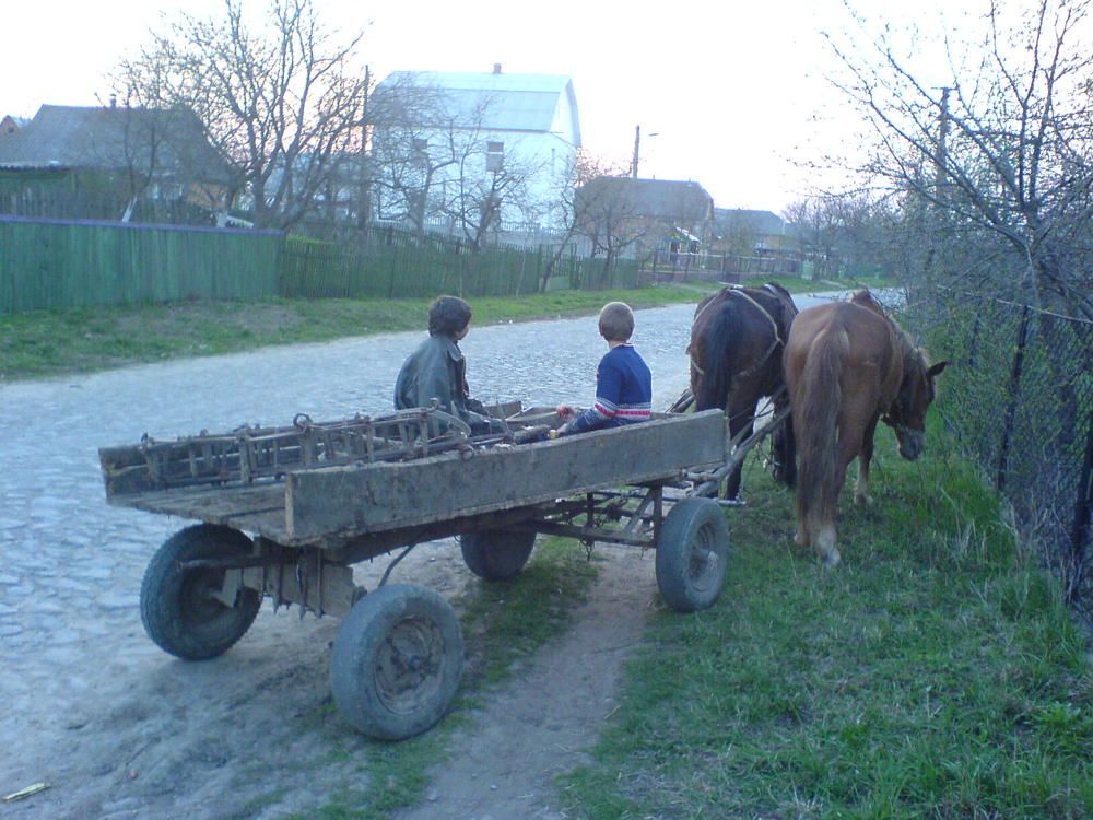 Photograph by TERESA Yurkevich