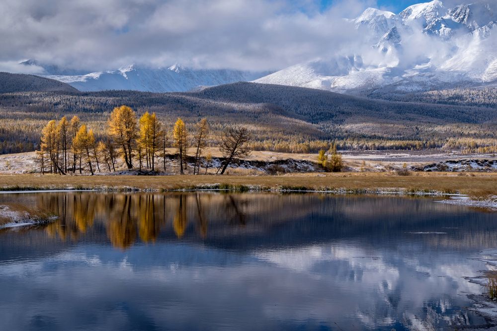 Золото на голубом