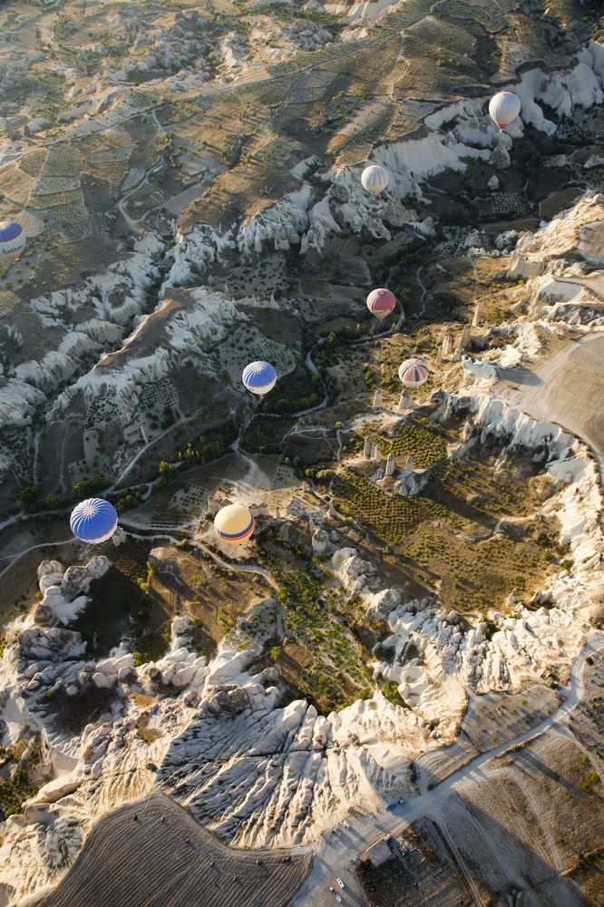 Фотография автора Олег Грачёв