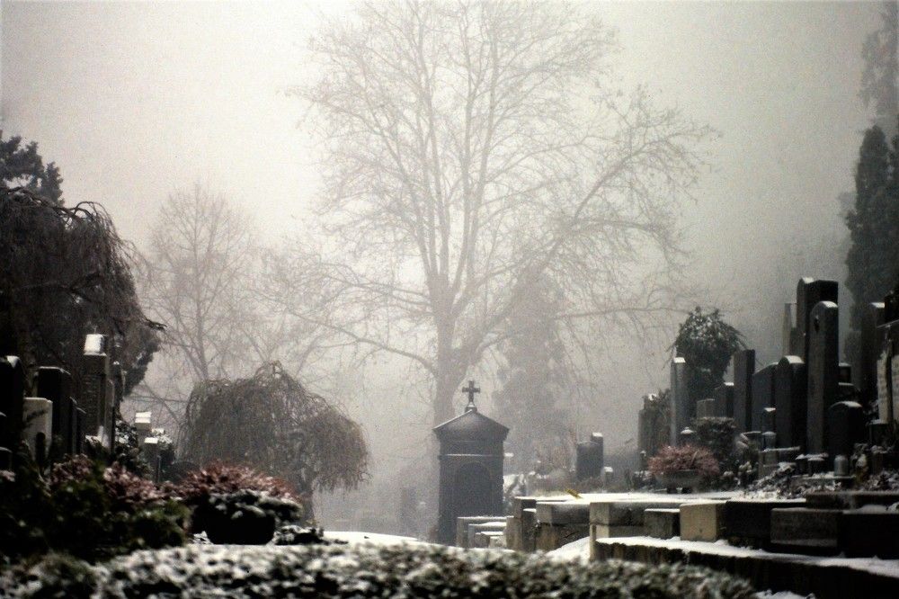 fog at a cemetery