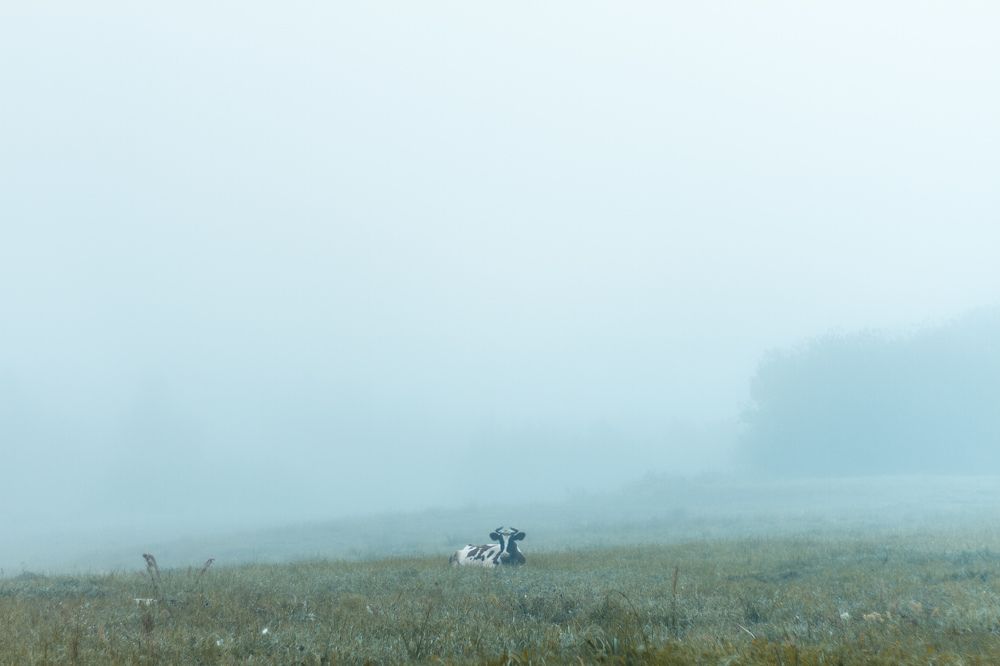 Фотография автора Евгений Вагуро