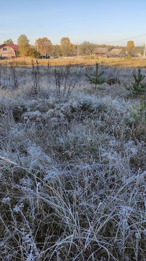 Фотография автора Ирина