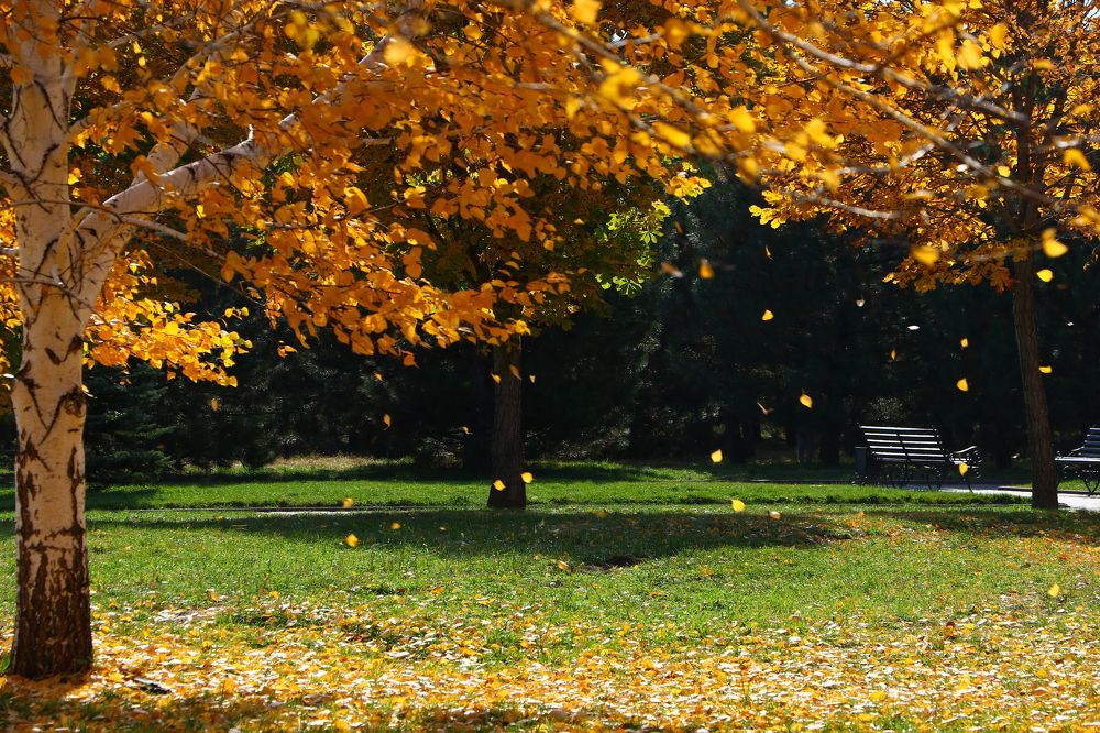 Photograph by Александр Шаварёв