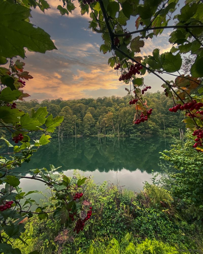 Photograph by Михаил Гассиев