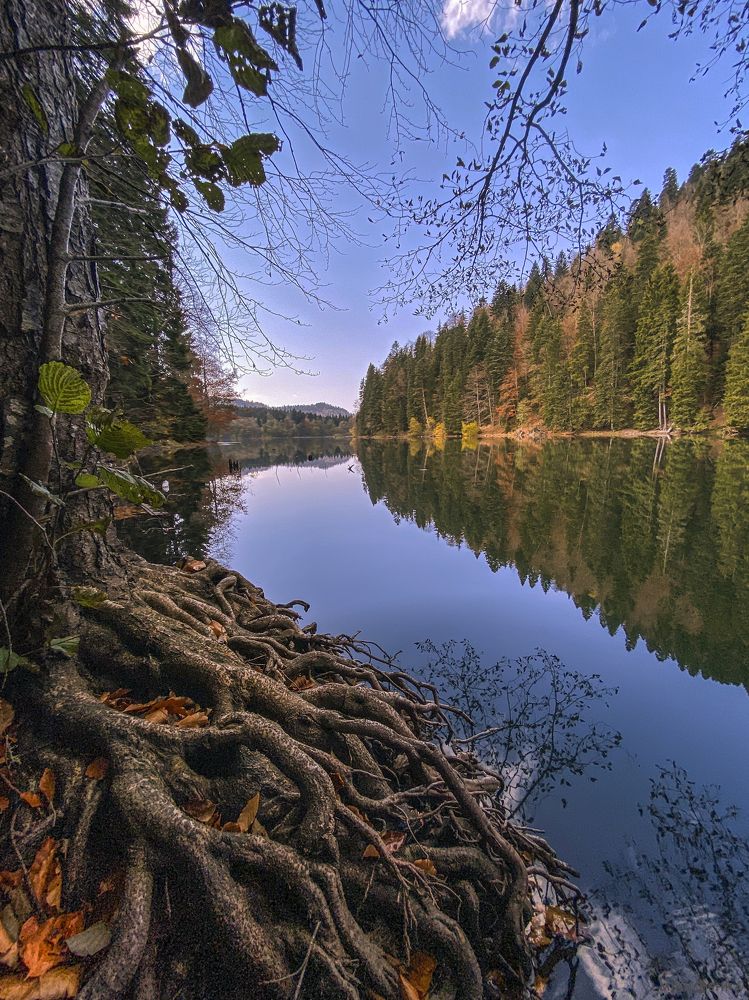 Photograph by Михаил Гассиев