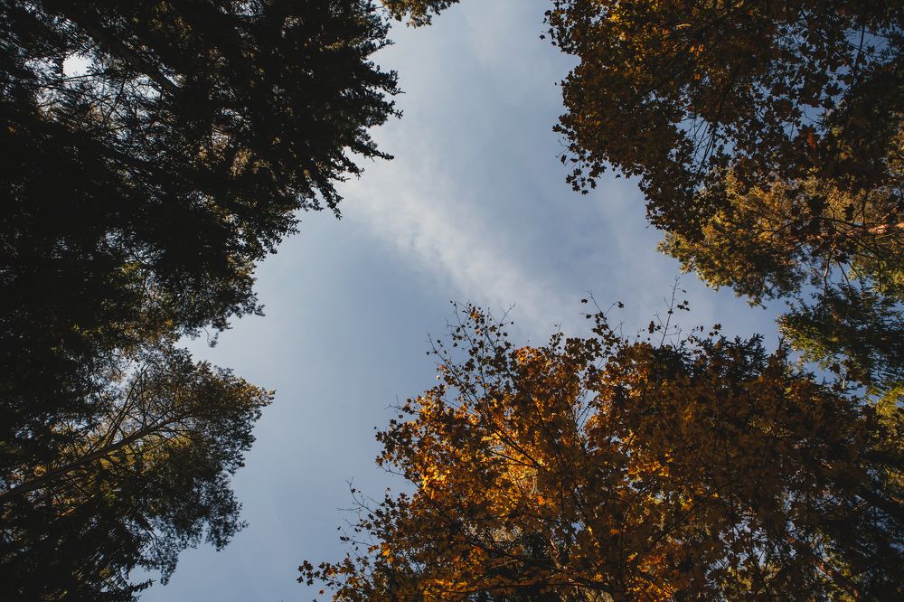 Photograph by Михаил Балабин