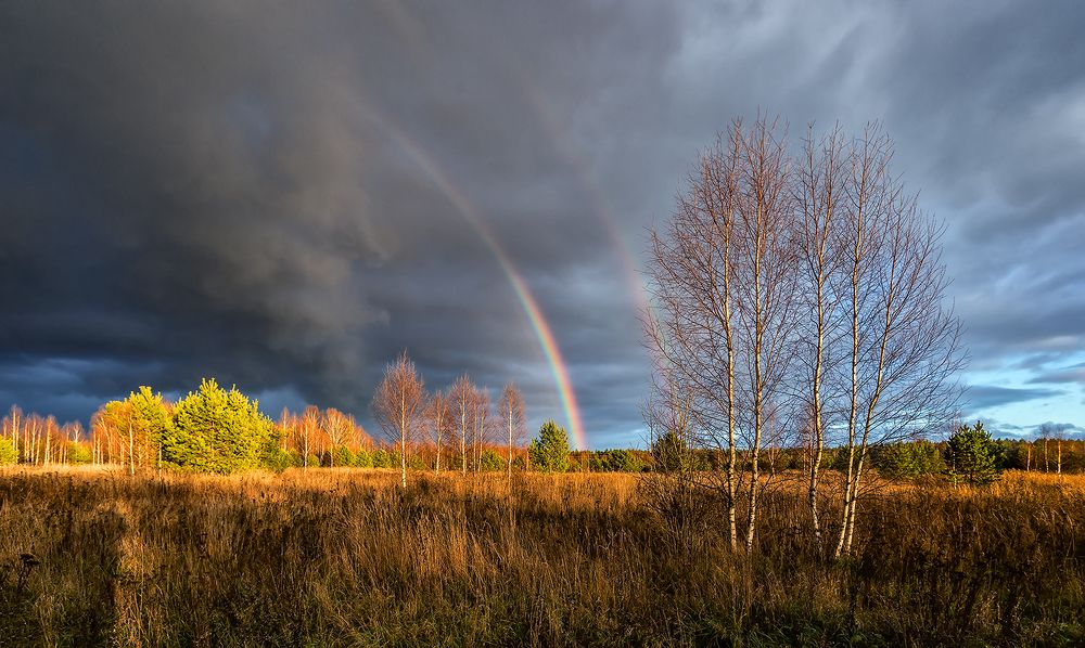 Photograph by Николай Андреев
