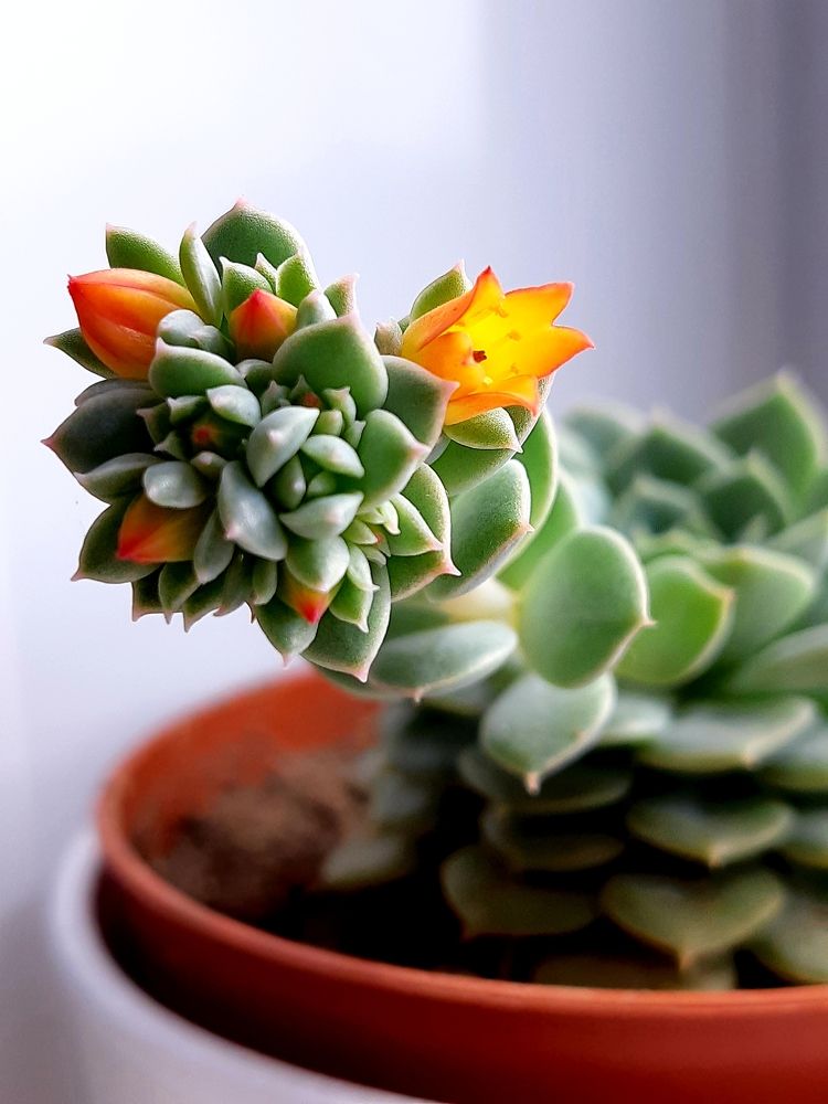 Фотография автора Ирина Лукьянчик