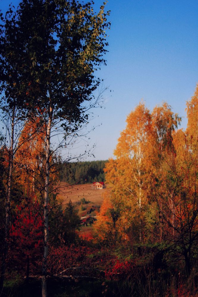 Photograph by Anastasya Beginina