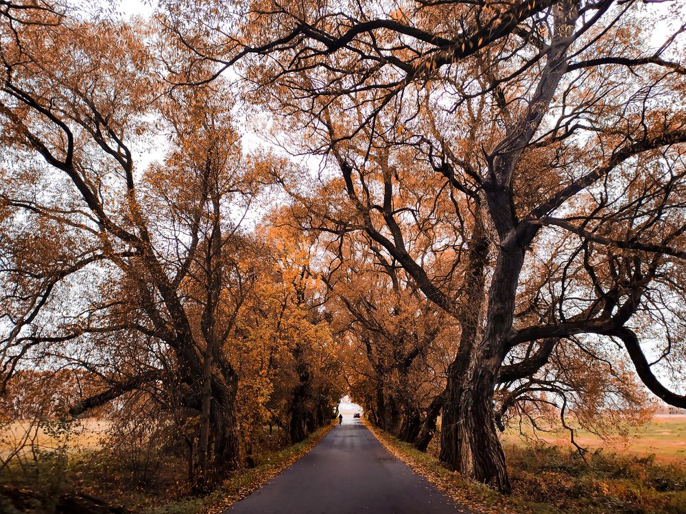 Photograph by Ольга Еженевская