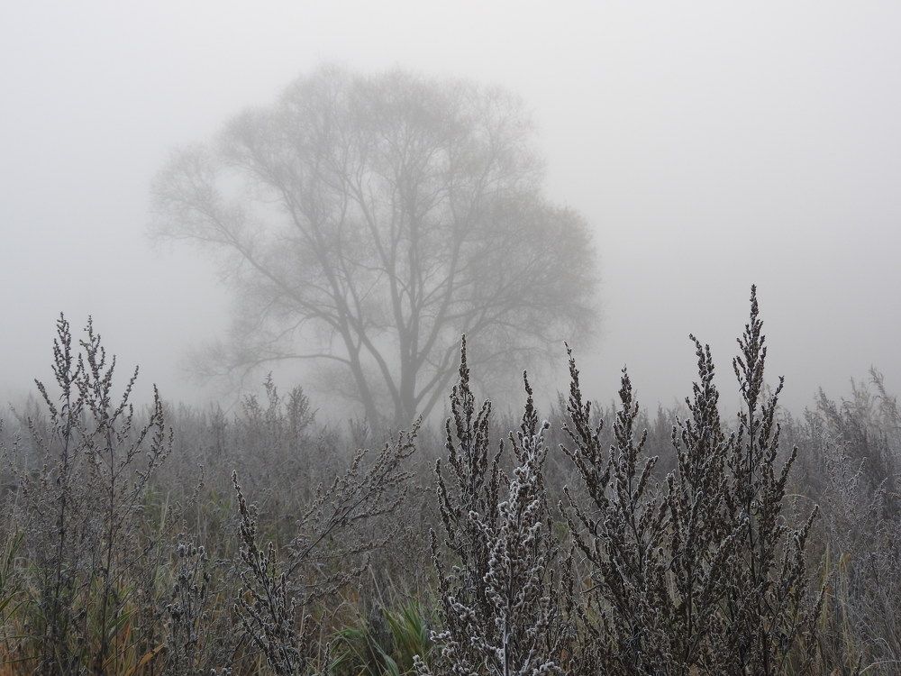 Фотография автора Юлия Овчинникова