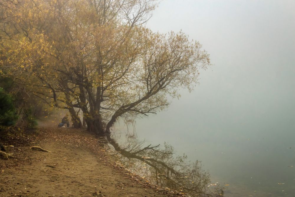 Photograph by Игорь Сидун