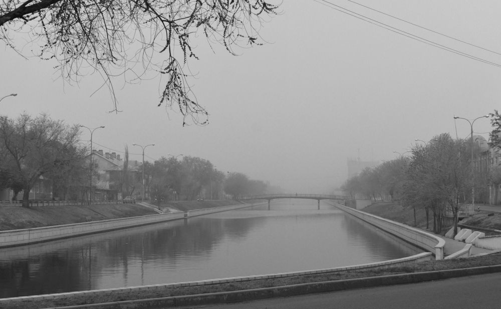 Photograph by Воронова Валерия