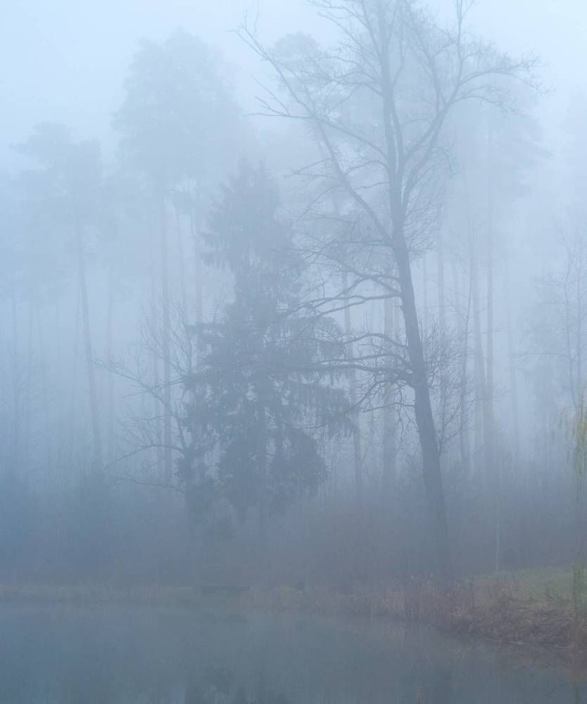 Photograph by Иван Бондаренко