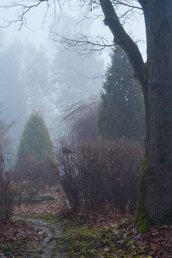 Photograph by Иван Бондаренко