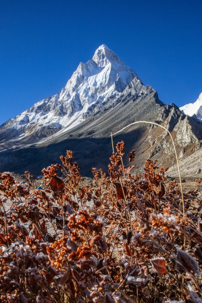 Photograph by Shameek Mukherjee