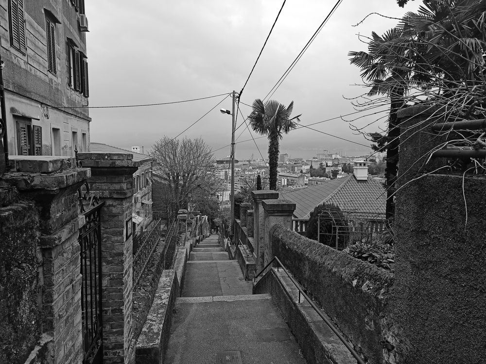 Photograph by Helena