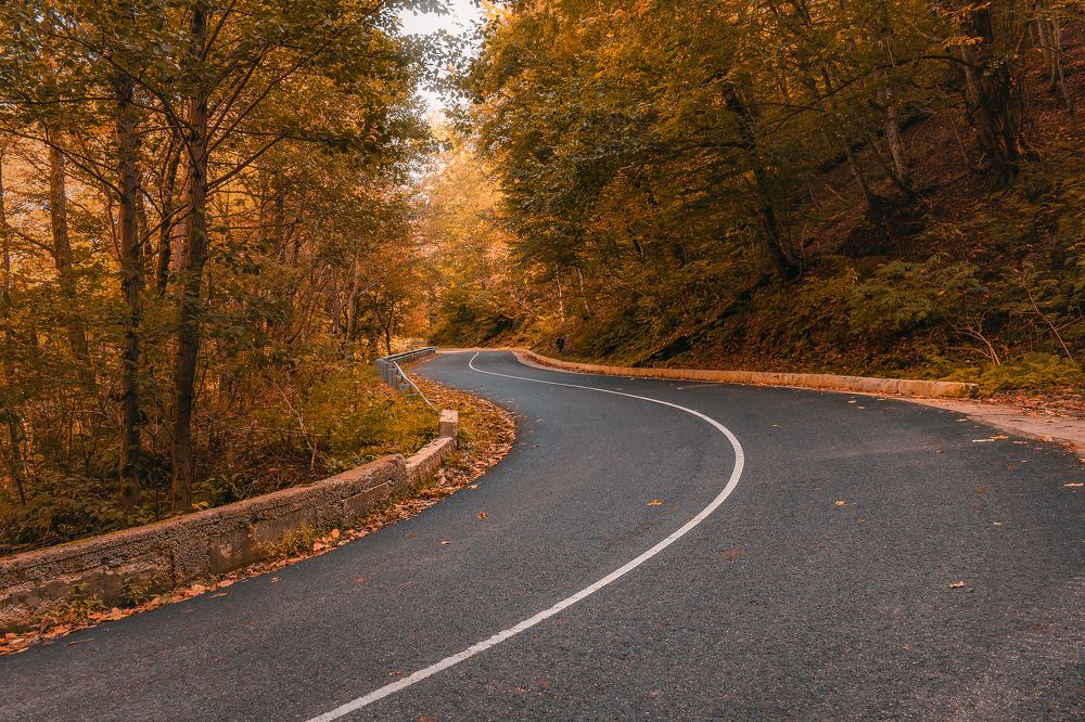 Photograph by Виталий Шкадинов