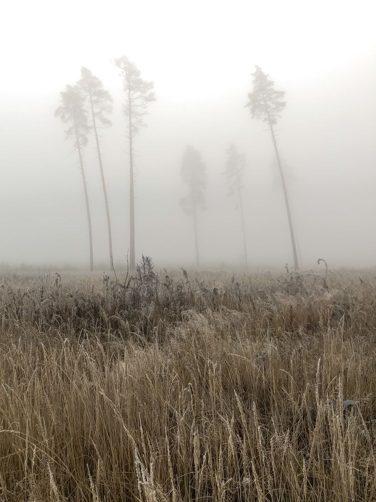 Photograph by Ирина Назарова