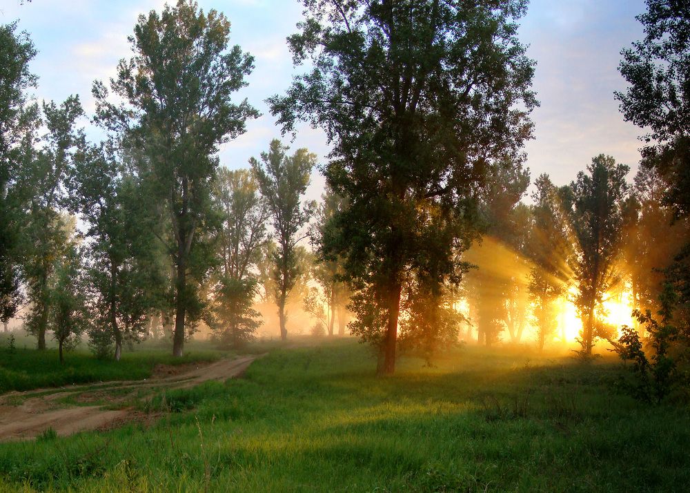 Photograph by Ерёмин Александр