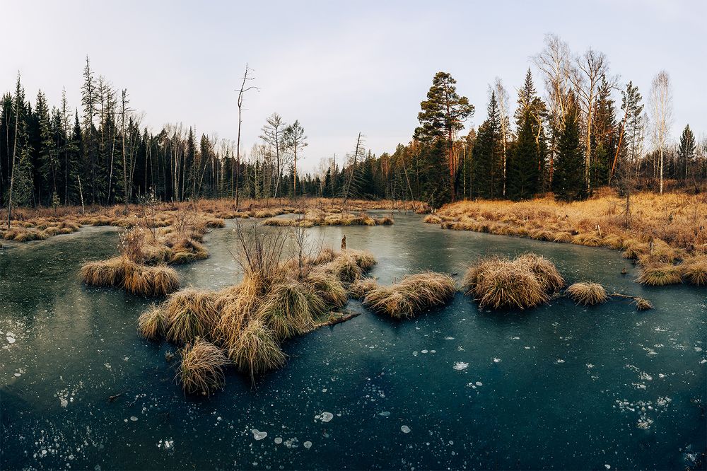 Фотография автора Андрей Логвинович