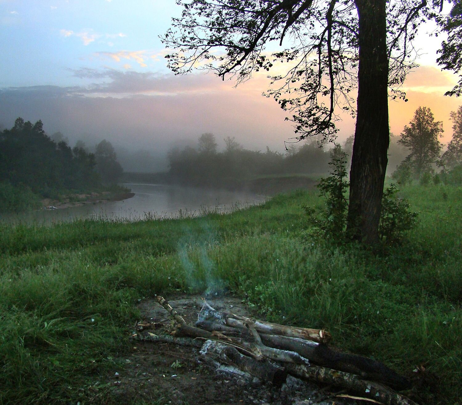 Photo #6711279