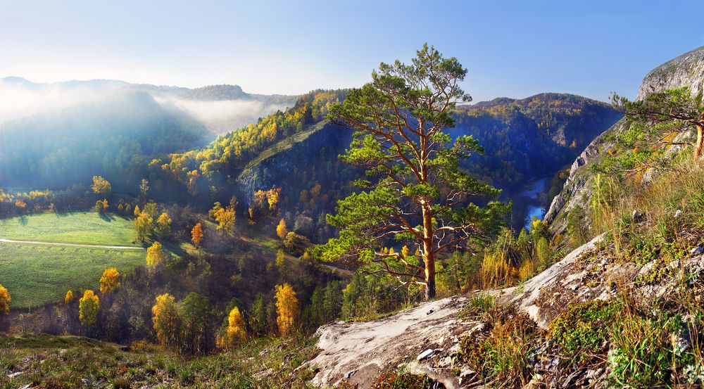 Photograph by Петр Орлов