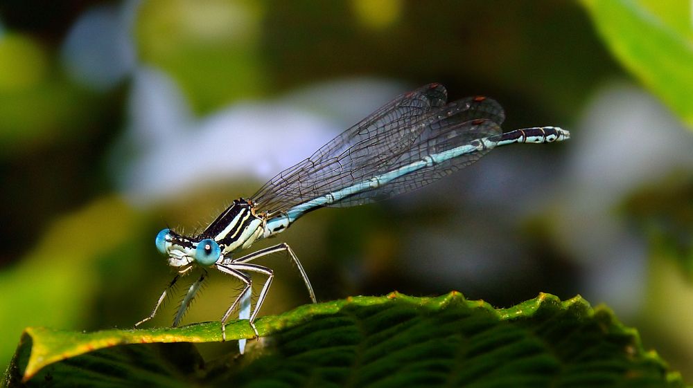 Photograph by Петр Орлов