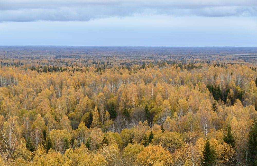 Photograph by Ahto Avi