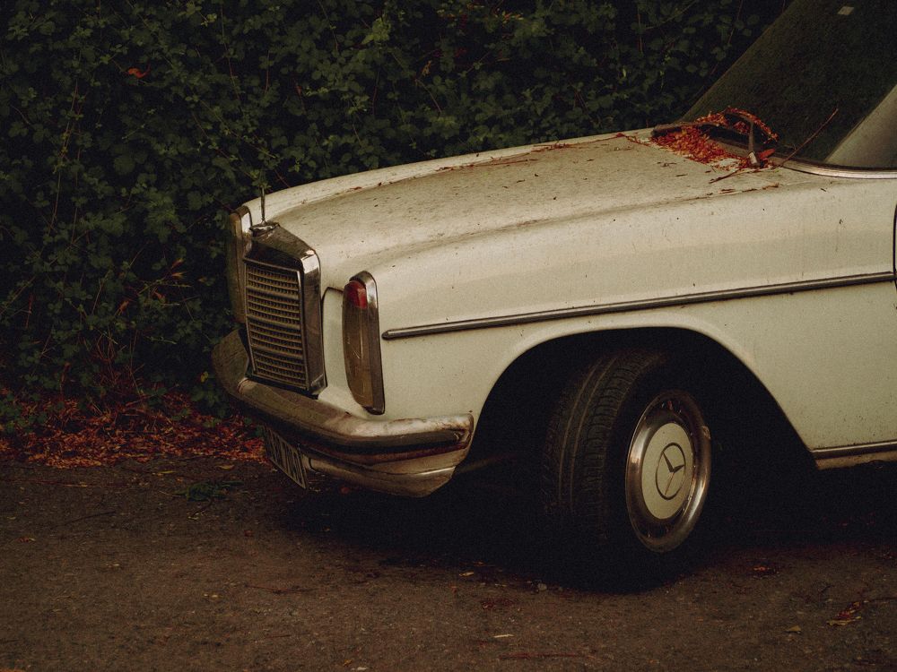 Photograph by Enes Bayraktar