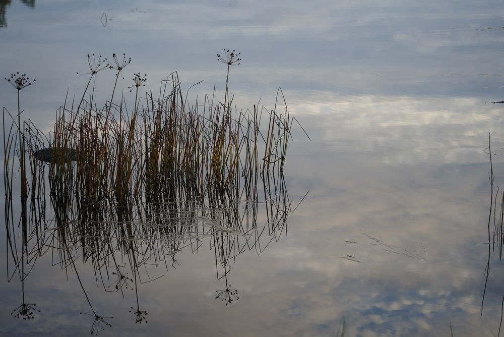 Фотография автора Юлия Овчинникова
