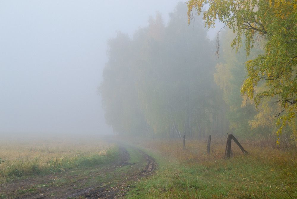 Photograph by Евгения Антропова