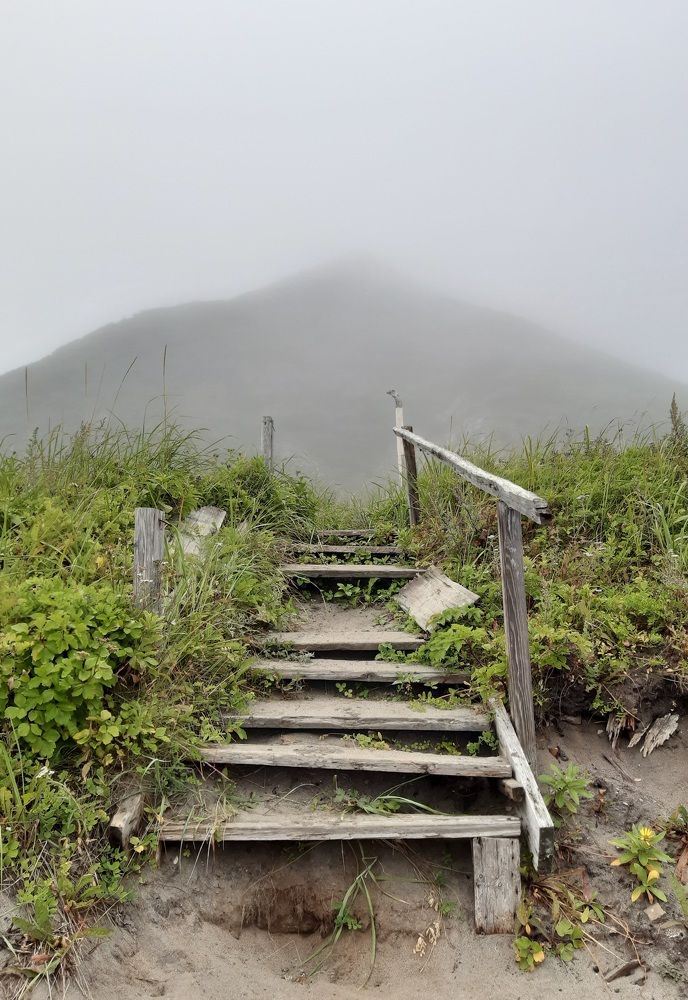 Photograph by Людмила Лаврентьева