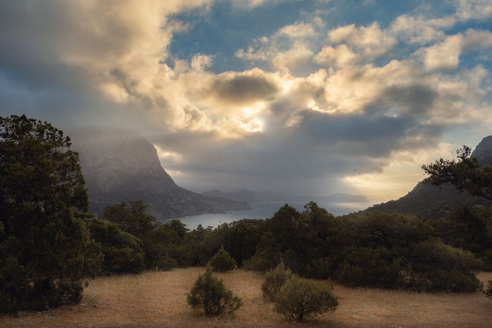 Photograph by Елизавета Деева