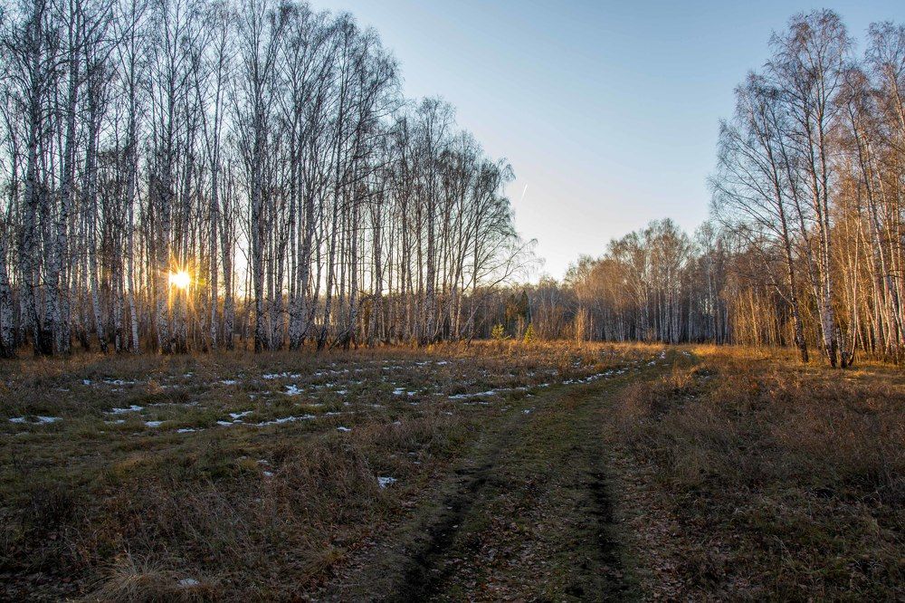 Photograph by Евгения Антропова